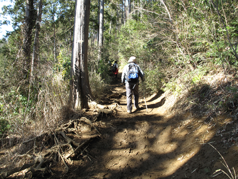 20160226hike (91)
